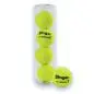 Preview: Dunlop Fort TR Plus Slinger 72er Balldose Tennisball